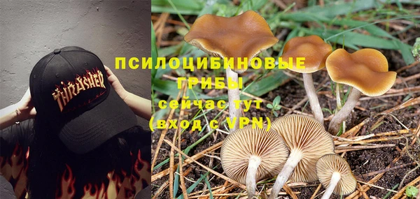 PSILOCYBIN Абинск