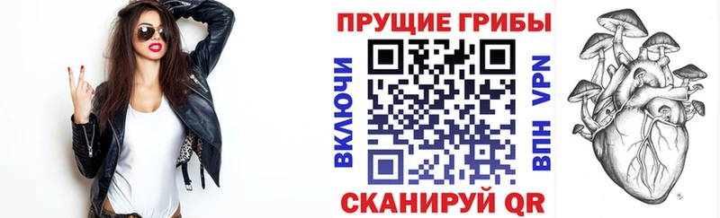 купить  цена  Ялуторовск  Галлюциногенные грибы ЛСД 