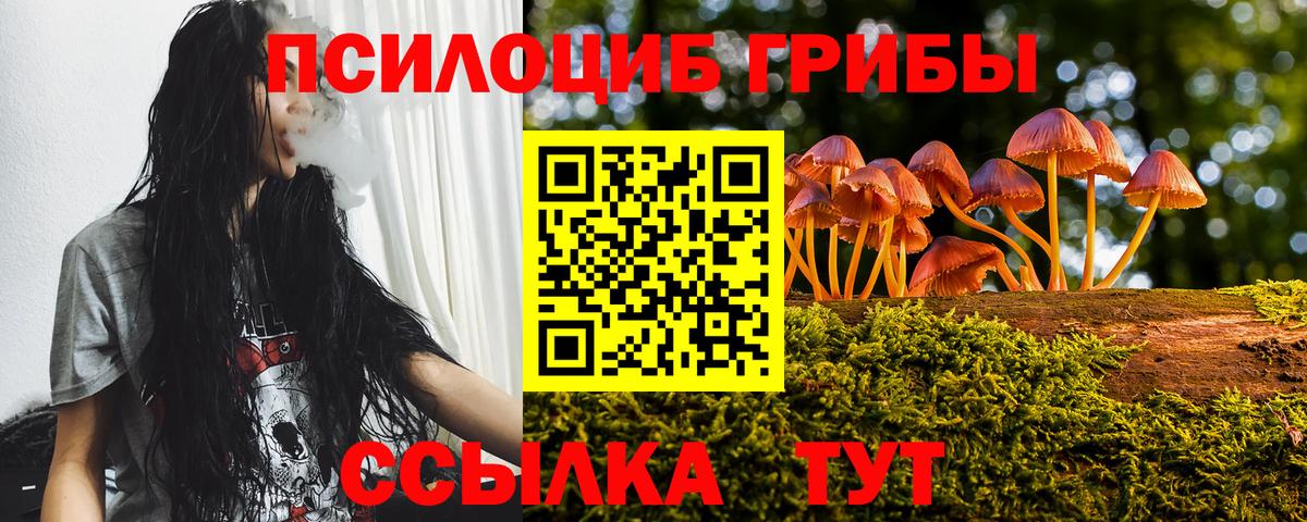 Галлюциногенные грибы Psilocybine cubensis  Вход с VPN  Псилоцибиновые грибы MAGIC MUSHROOMS  Ялуторовск 