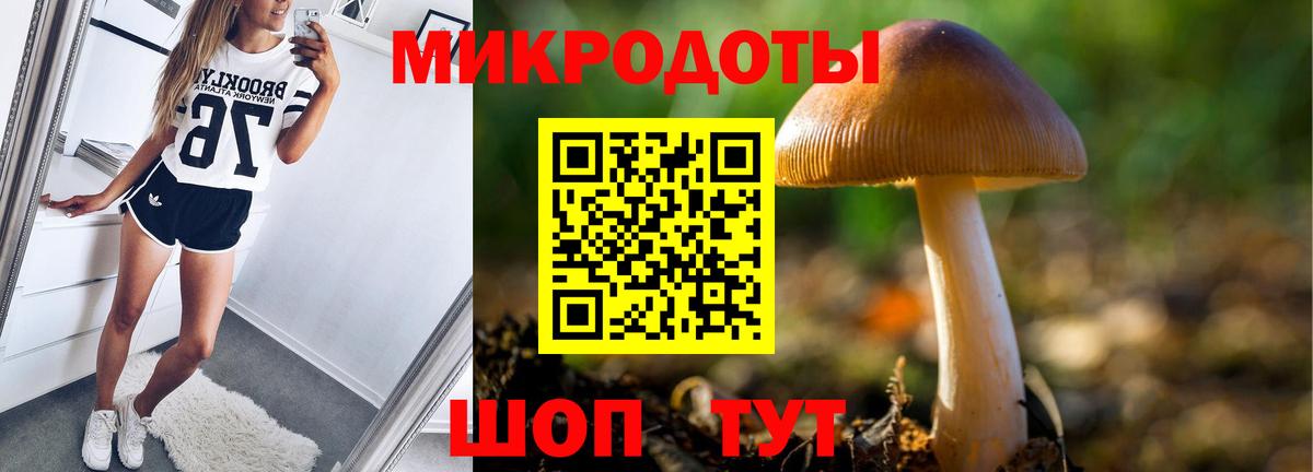Псилоцибиновые грибы мицелий Ялуторовск